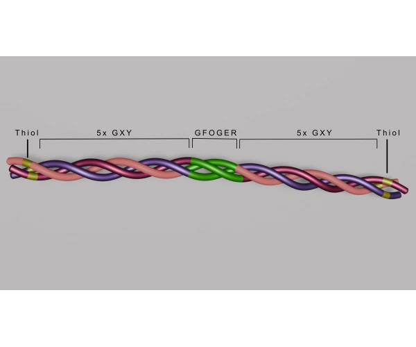 triple-helix